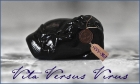 Vita Versus Virus (VVV–369), или Жизнь против Вируса
